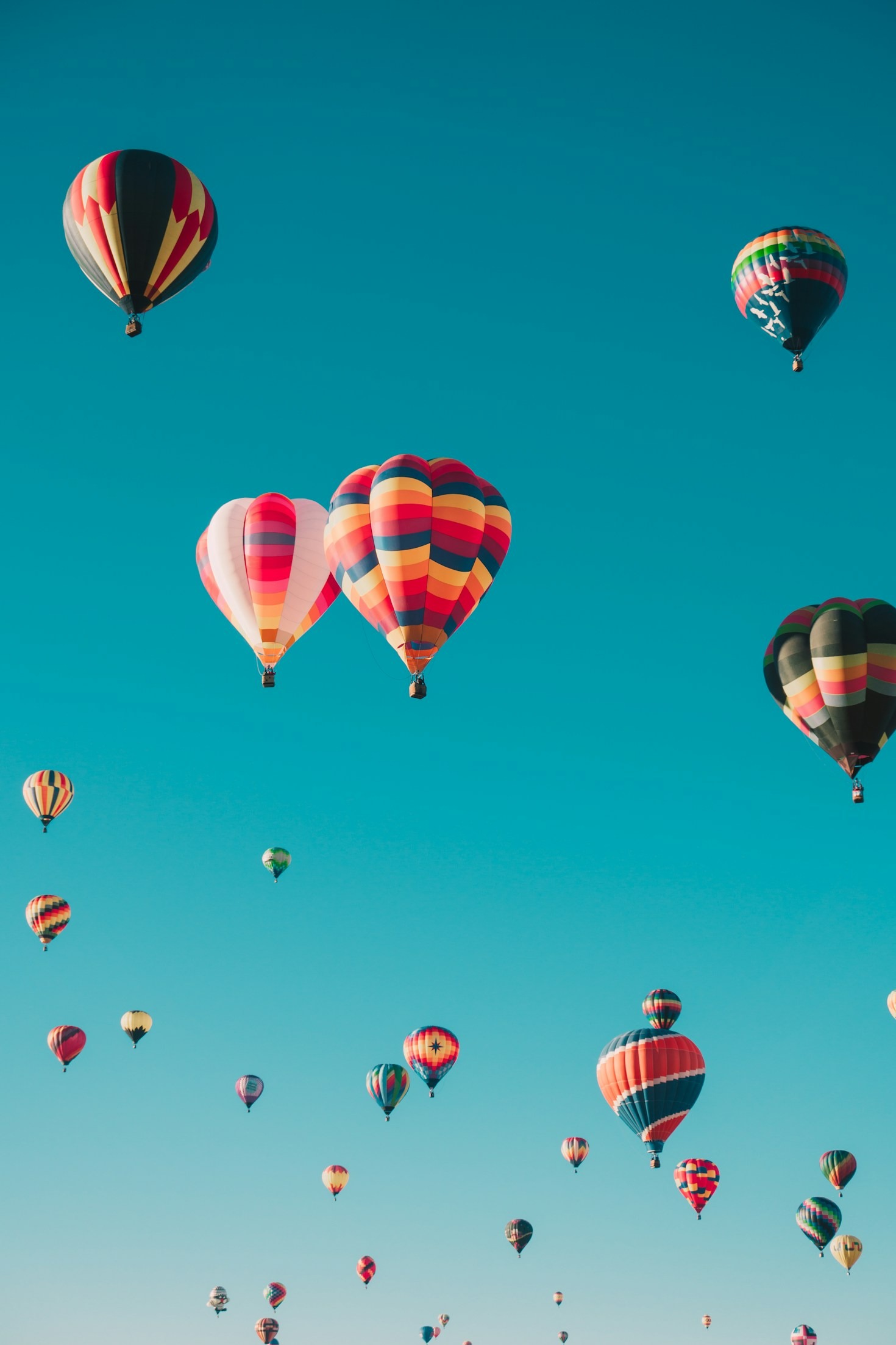Curated Excursions for the Adventurous Traveler